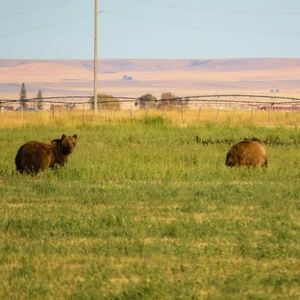 Meet your Posher, Aaron